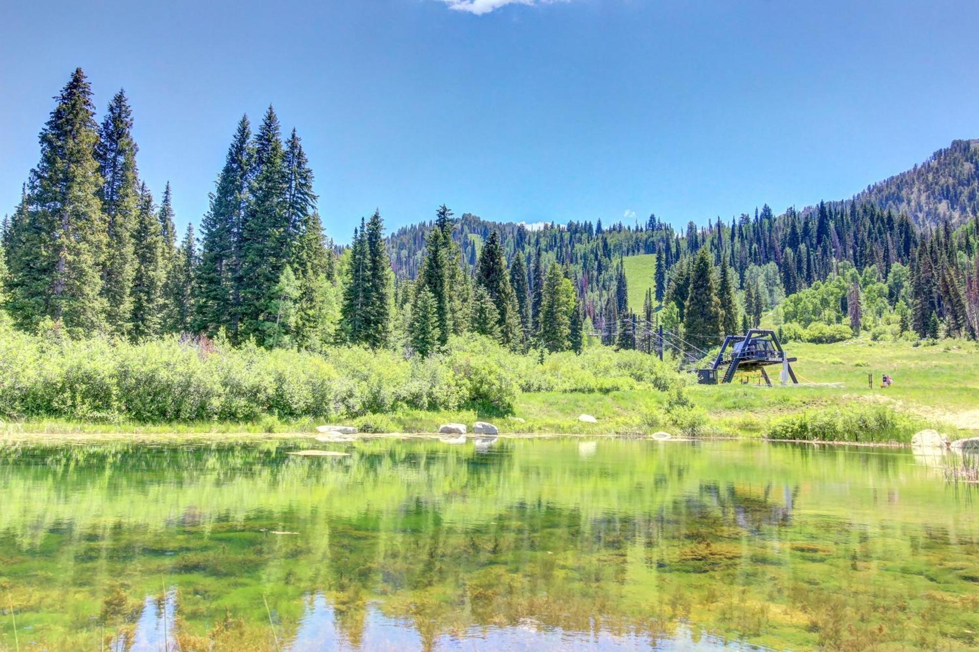 Eagle Springs East 315: Osprey Suite Solitude Eksteriør billede