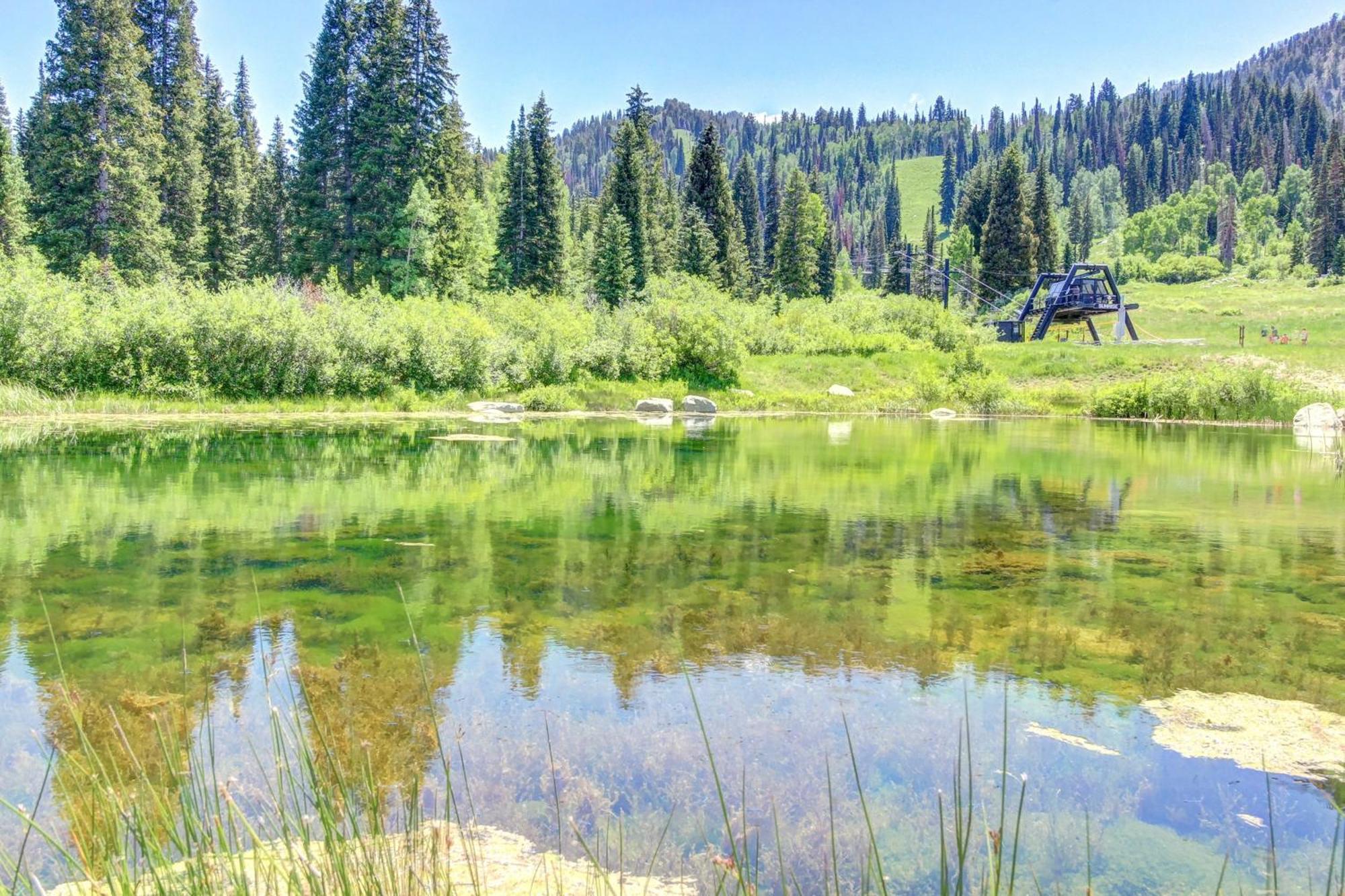 Eagle Springs East 315: Osprey Suite Solitude Eksteriør billede